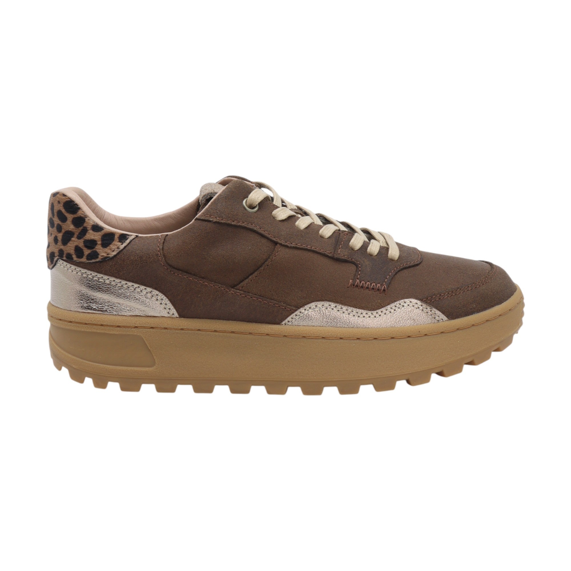 Deportivos Manchitas