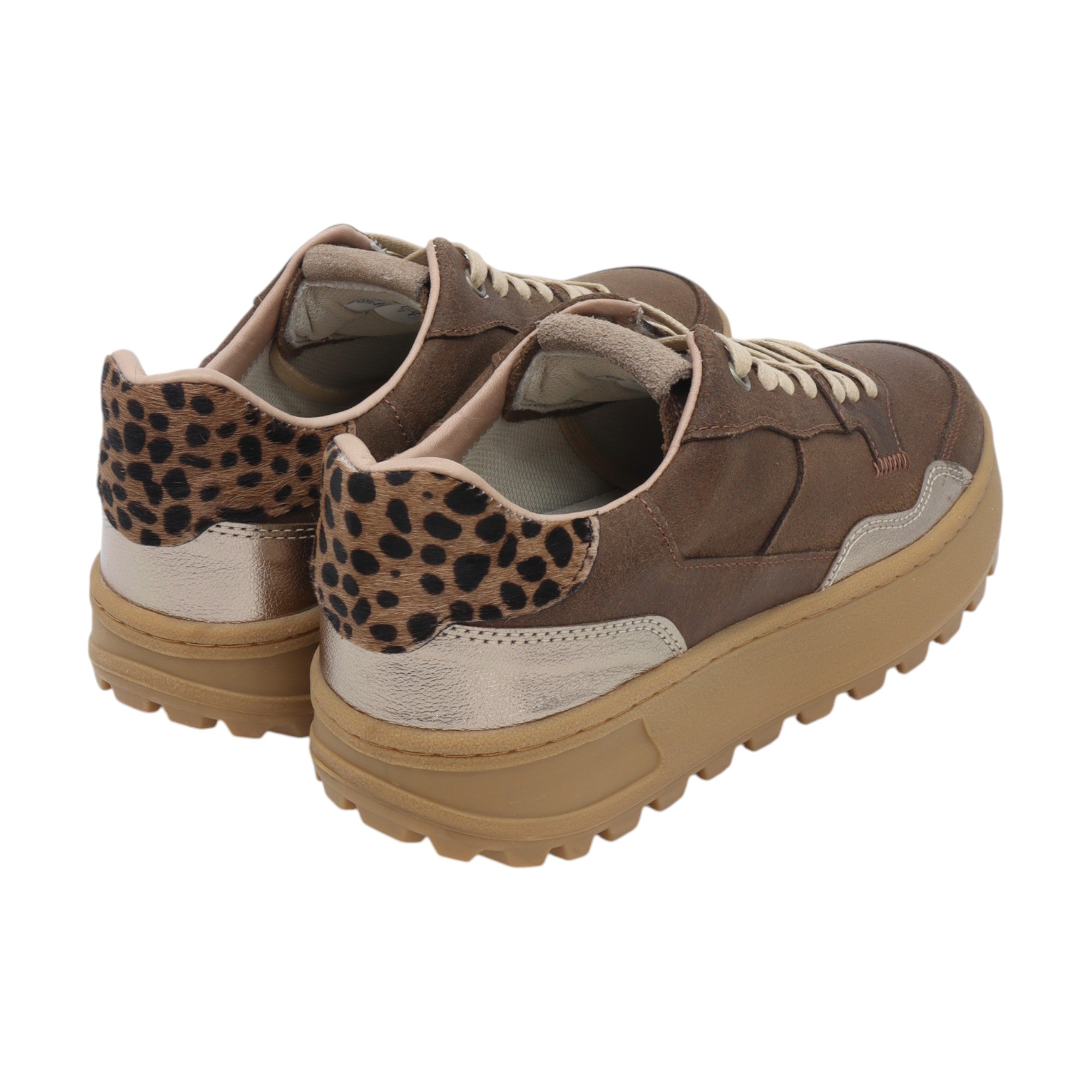 Deportivos Manchitas