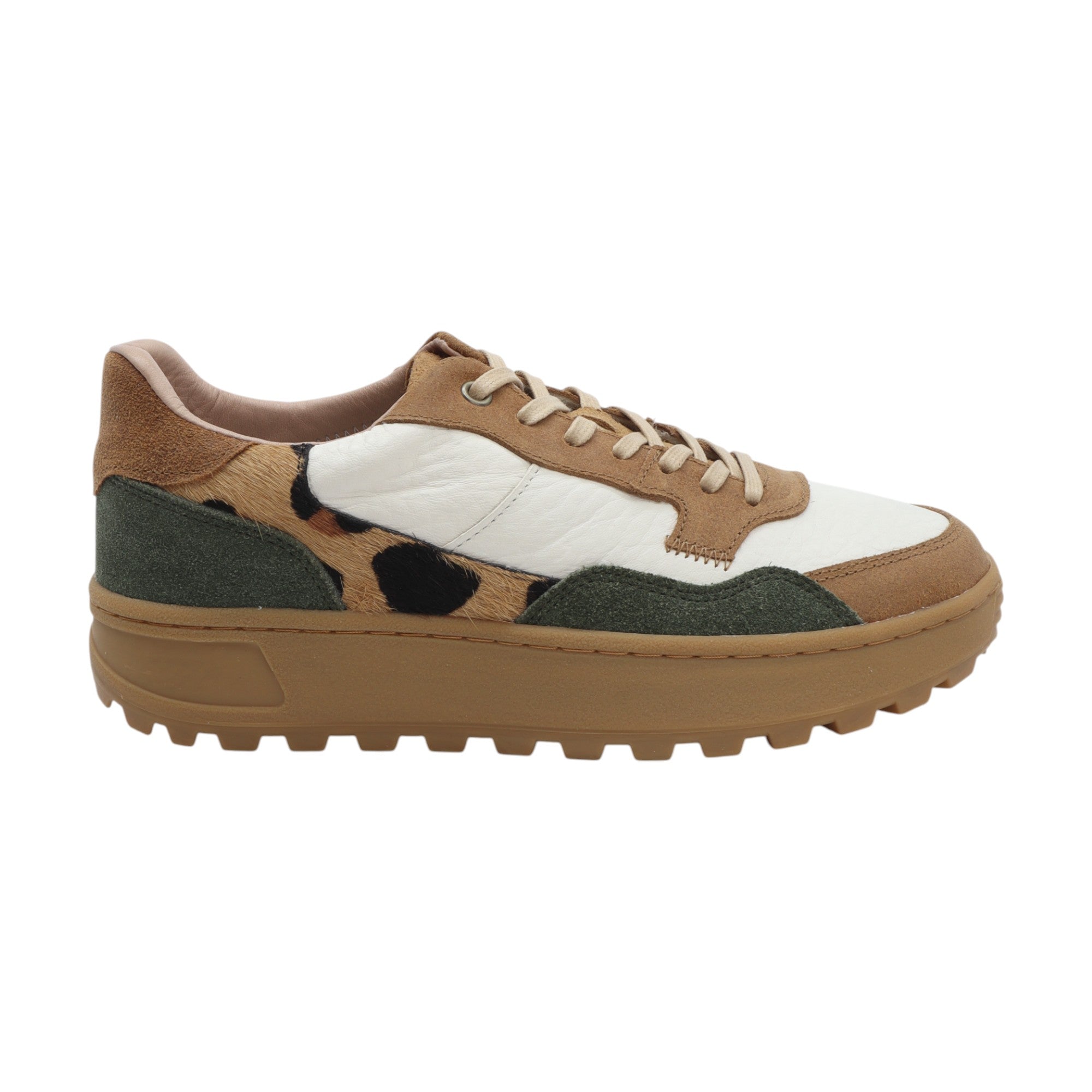 Deportivos Manchitas